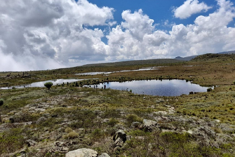 Aberdares: Caminhada guiada pelas Sete Lagoas com vistas panorâmicasAberdares: Caminhada guiada pelas Sete Lagoas com vistas incríveis