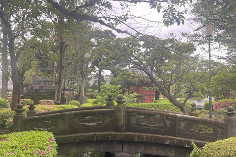 Asakusa: Tokyo’s #1 Family Food Tour