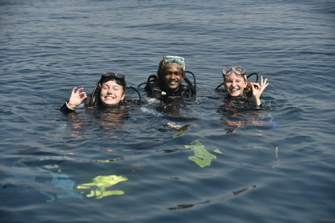 Mirissa: Private Eco Turtle Snorkelling Tour & Photography