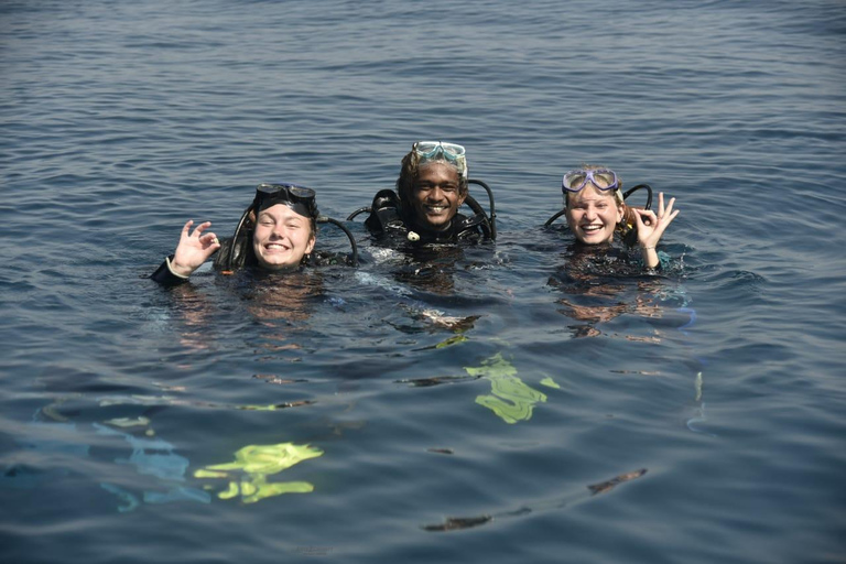Mirissa: Private Eco Turtle Snorkelling Tour & Photography