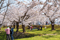 Nagasaki: Private & individuelle Kirschblüten-Tour mit einem Einheimischen