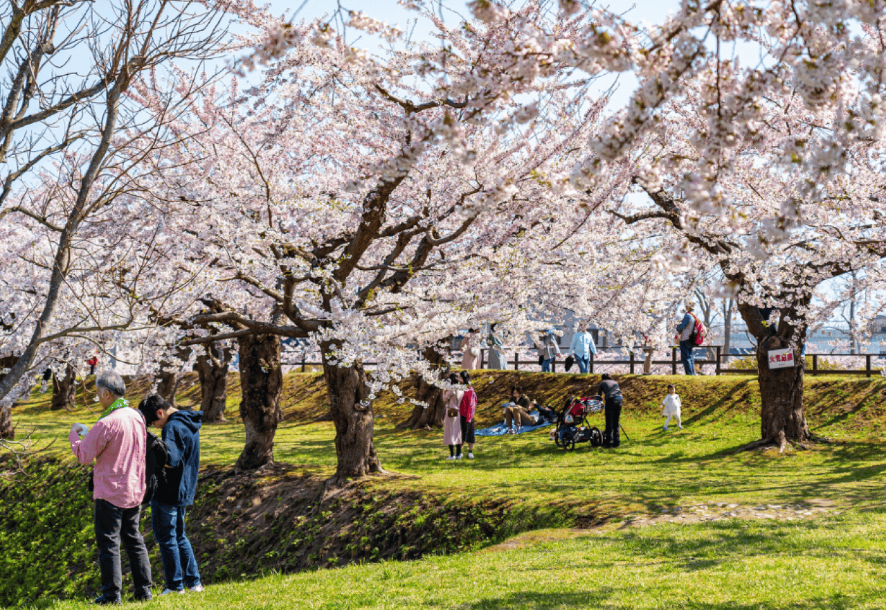 Nagasaki: Private & individuelle Kirschblüten-Tour mit einem Einheimischen