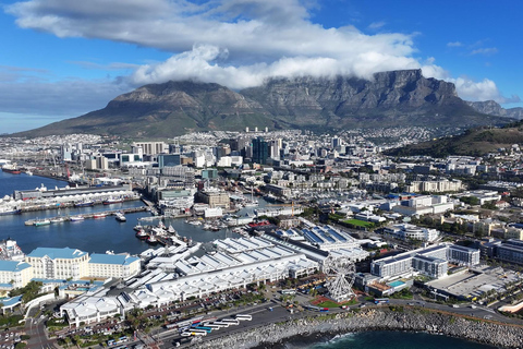 Hermanus Whale Watching Boat Trip and Wine Tasting