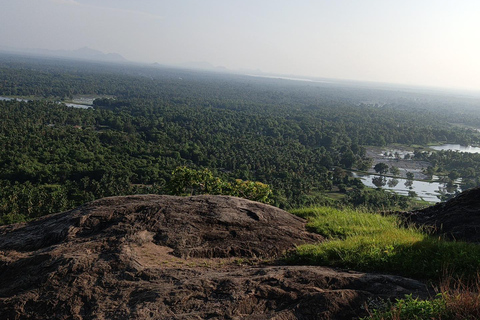 Kandy: Yapahuwa Rock Fortress Private Day Trip