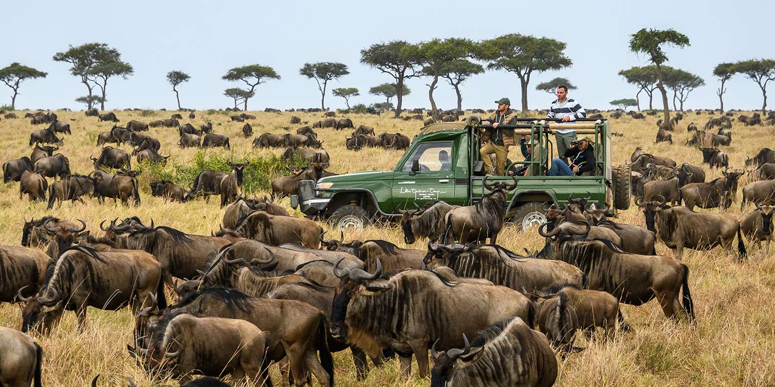 6 Days Masai Mara, Lake Nakuru, and Amboseli Budget safari. | GetYourGuide