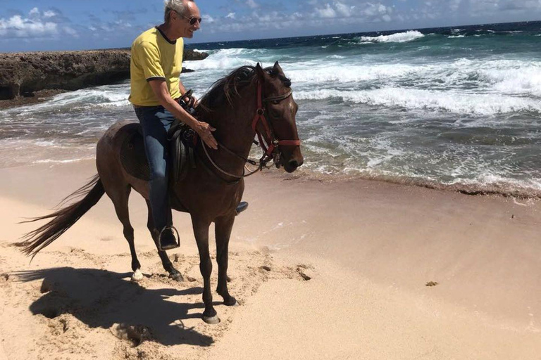 Aruba: Sunrise Horseback Riding Tour with Hotel Transfer