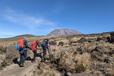 Beste Kilimanjaro Machame Route in 7 dagen, Top Afrika