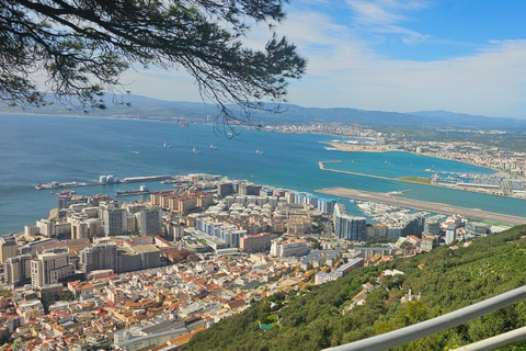 Gibraltar: Classic Rock Tour with Nature Reserve Entry