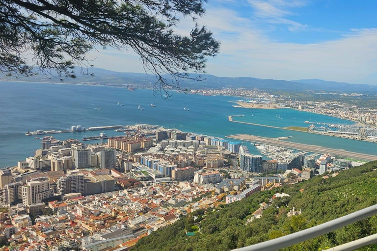 Gibraltar: Classic Rock Tour with Nature Reserve Entry