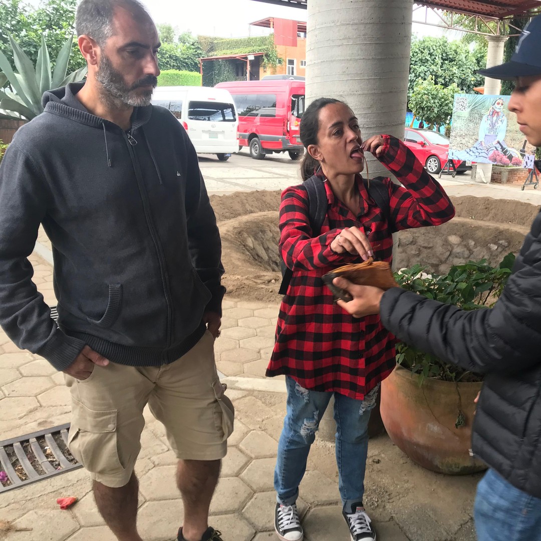 Galería de fotos para redes