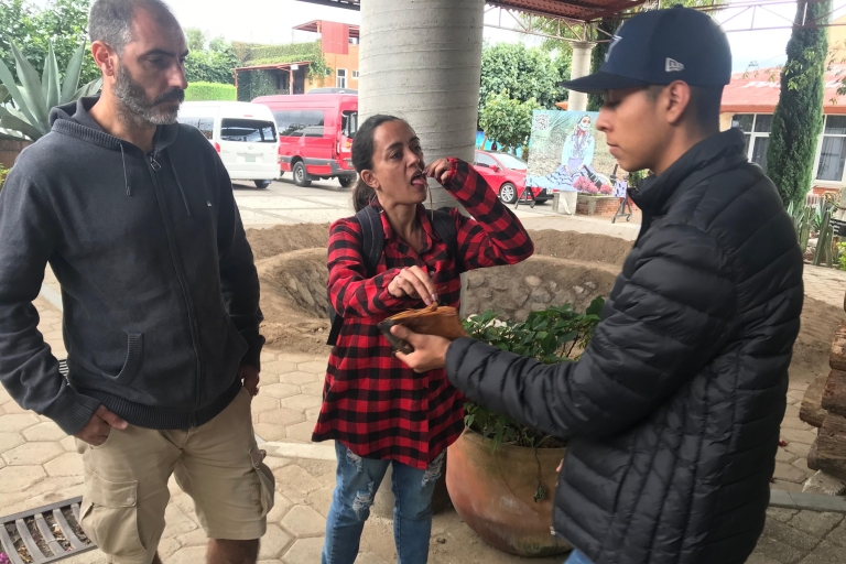 Van Oaxaca: Hierve el Agua en Teotitlán del Valle
