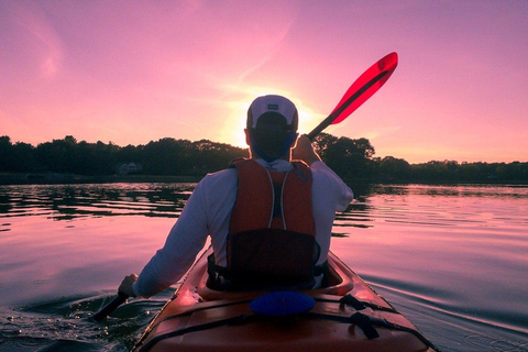 Houston: Kayak and Paddleboard Rental 1 Day Single Kayak Rentals