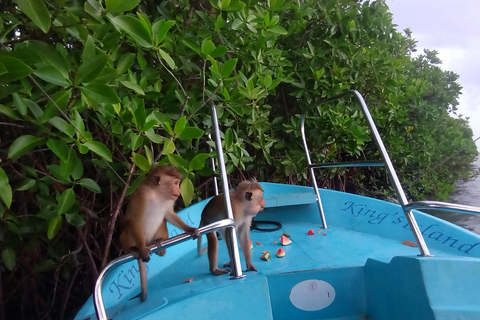 Negombo: Boat Tour of Negombo Lagoon with hotel transfers