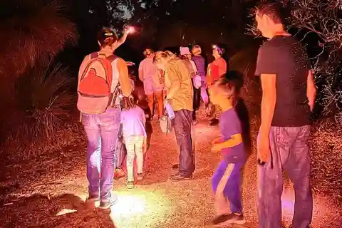 Perth: Nocturnal Night Stalk Tour with WA Wildlife Encounter