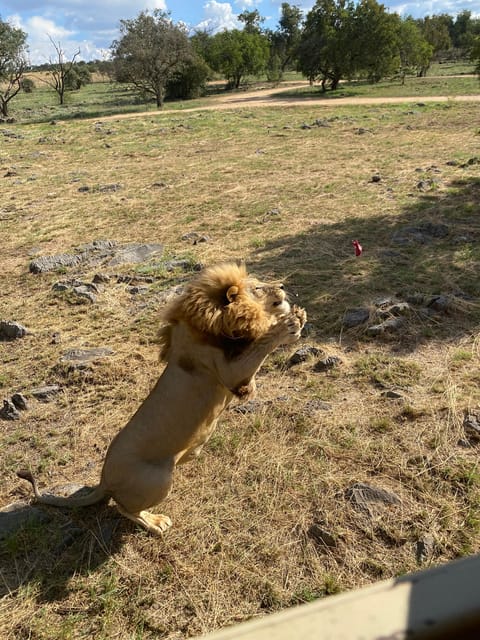 メディア コラージュ