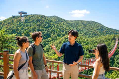 坡州平和ゴンドラ チケット＆ツアー | ゲットユアガイド | GetYourGuide