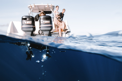 Oahu: Cage-Free Shark Diving Adventure Oahu: Cage-Free Shark Diving Adventure with Photos