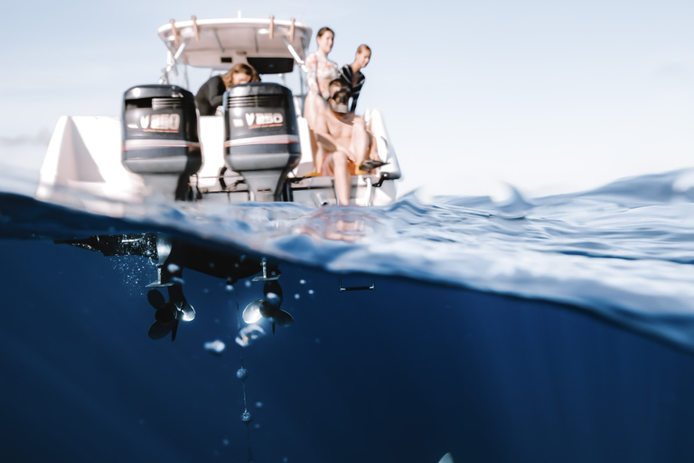 Oahu: Cage-Free Shark Diving Adventure Oahu: Cage-Free Shark Diving Adventure with Photos