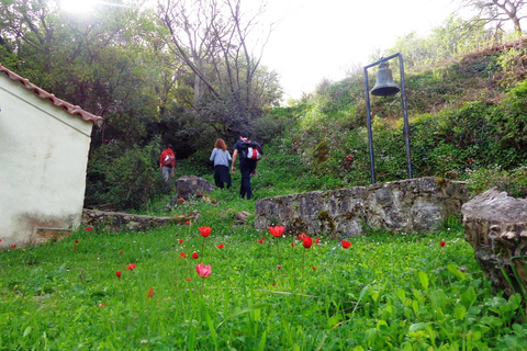 Mystras: Taygetos Bergwanderung Tour