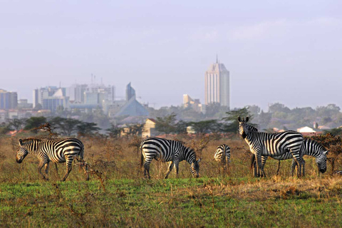 6 days 5 night maasai mara national reserve