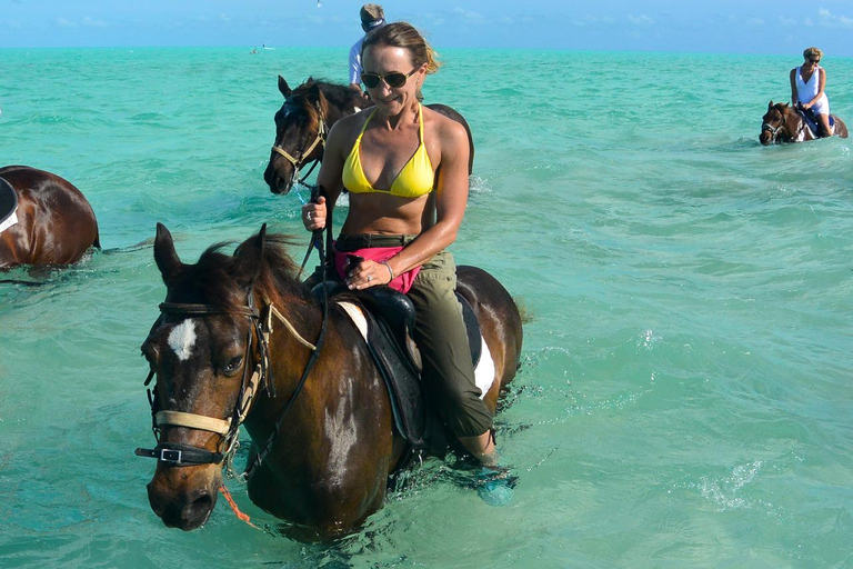 Punta Cana: Swim & Ride Horse on Caribbean Beach & Transport