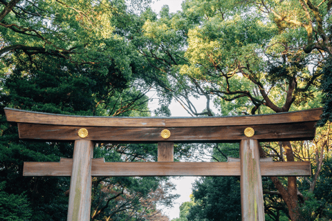 Japão: Visita guiada de 7 dias com alojamento em hotel