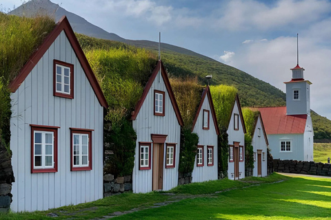 Akureyri Port: Small Group Godafoss & Laufas Tour - Cruises