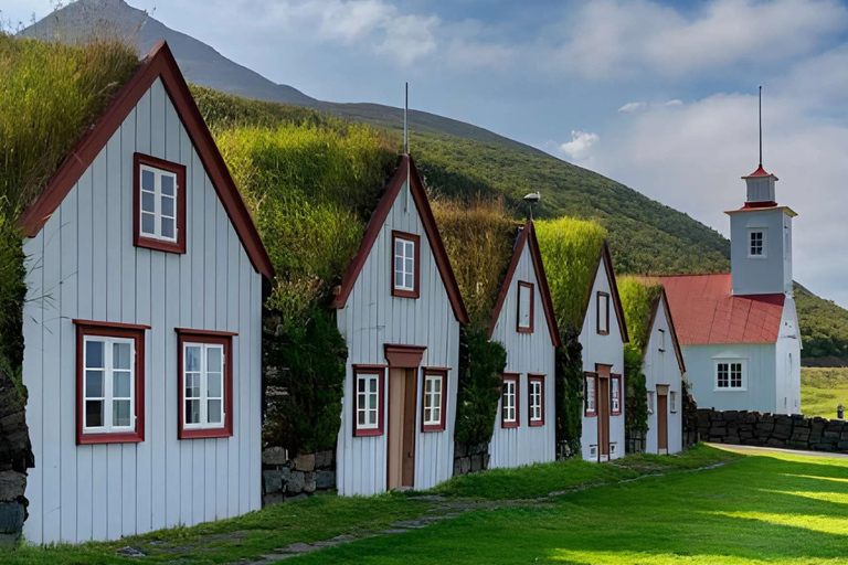 Akureyri Port: Small Group Godafoss & Laufas Tour - Cruises