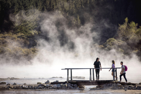 Vanuit Auckland:Hell&#039;s Gate Modderbad &amp; Rotorua Hoogtepunten Tour