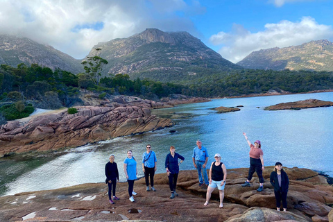 Tasmanien: (Ny turné) 6 dagars naturbaserad tur i liten gruppMotel Dubbelrum