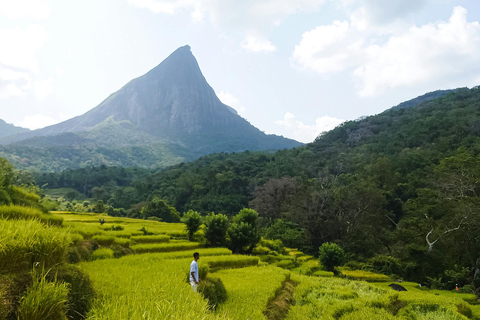 From Colombo or Kandy: Sigiriya Rock Fortress Day Tour