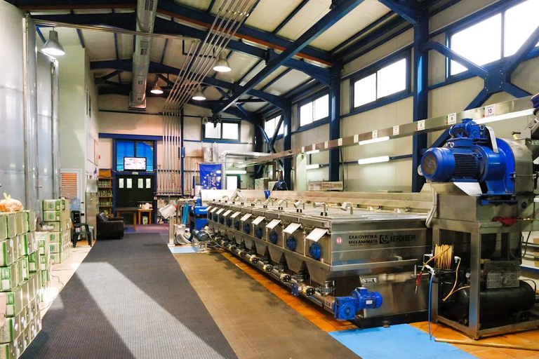 基利尼：扎金索斯岛游船之旅含午餐及橄榄油品鉴基利尼：扎金索斯岛游船之旅含午餐与橄榄油品鉴