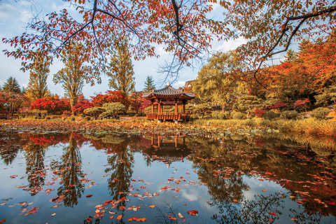 Busan: Gyeongju Autumn Foliage Day Tour with Historic Sites Shared Tour, Meet at Haeundae Station