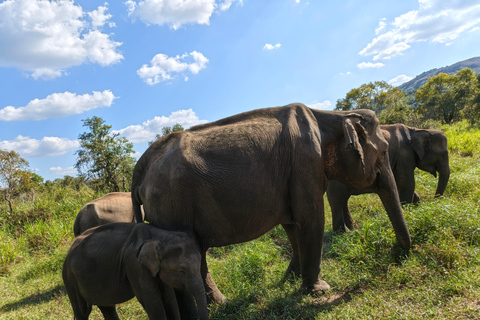 Hurulu Eco Park Private Jeep Safari & Scenic Lake view Hurulu Eco Park Private Safari - Entry Fees Included