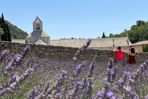 From Avignon: Lavender Tour in Valensole, Sault and Luberon From Avignon: Half-day Lavender tour in Sault and Luberon