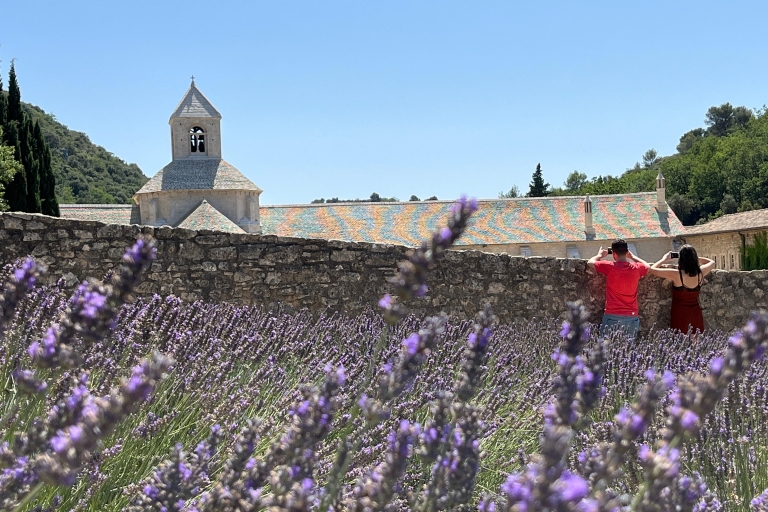 Vanuit Avignon: Lavendel Tour in Valensole, Sault en LuberonVanuit Avignon: dagexcursie in Valensole, Luberon en Sault