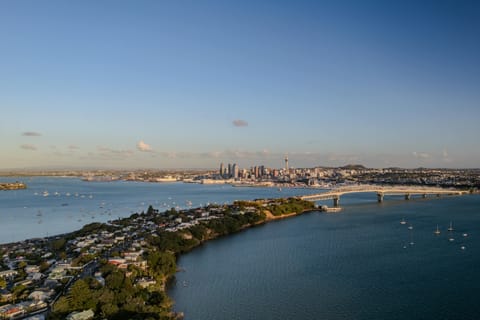 Auckland: Scenic Highlights Tour with Ferry Ride - Image 2