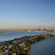 Auckland: Scenic Highlights Tour with Ferry Ride