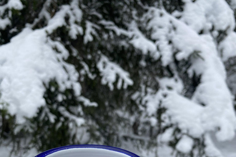 Oslo: Evening Torchlight Walk & Norwegian Campfire Waffle