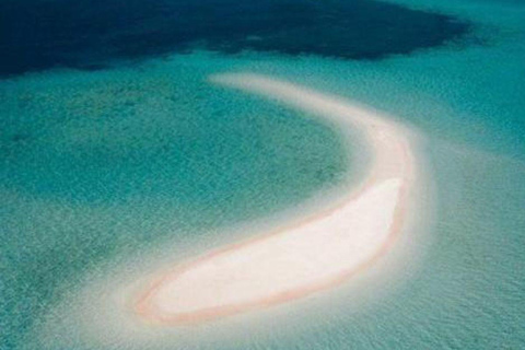 Bali: Komodo Island One Day Trip with Flights and Snorkeling