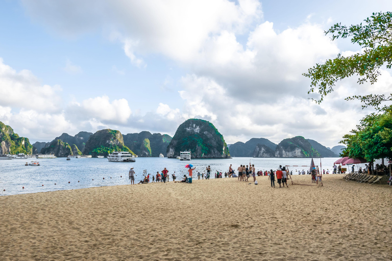 From Hanoi: Halong Bay Day Cruise with Lunch & Kayaking Halong Luxury Cruise+Limousine Bus (max 22 pax)+Set Menu