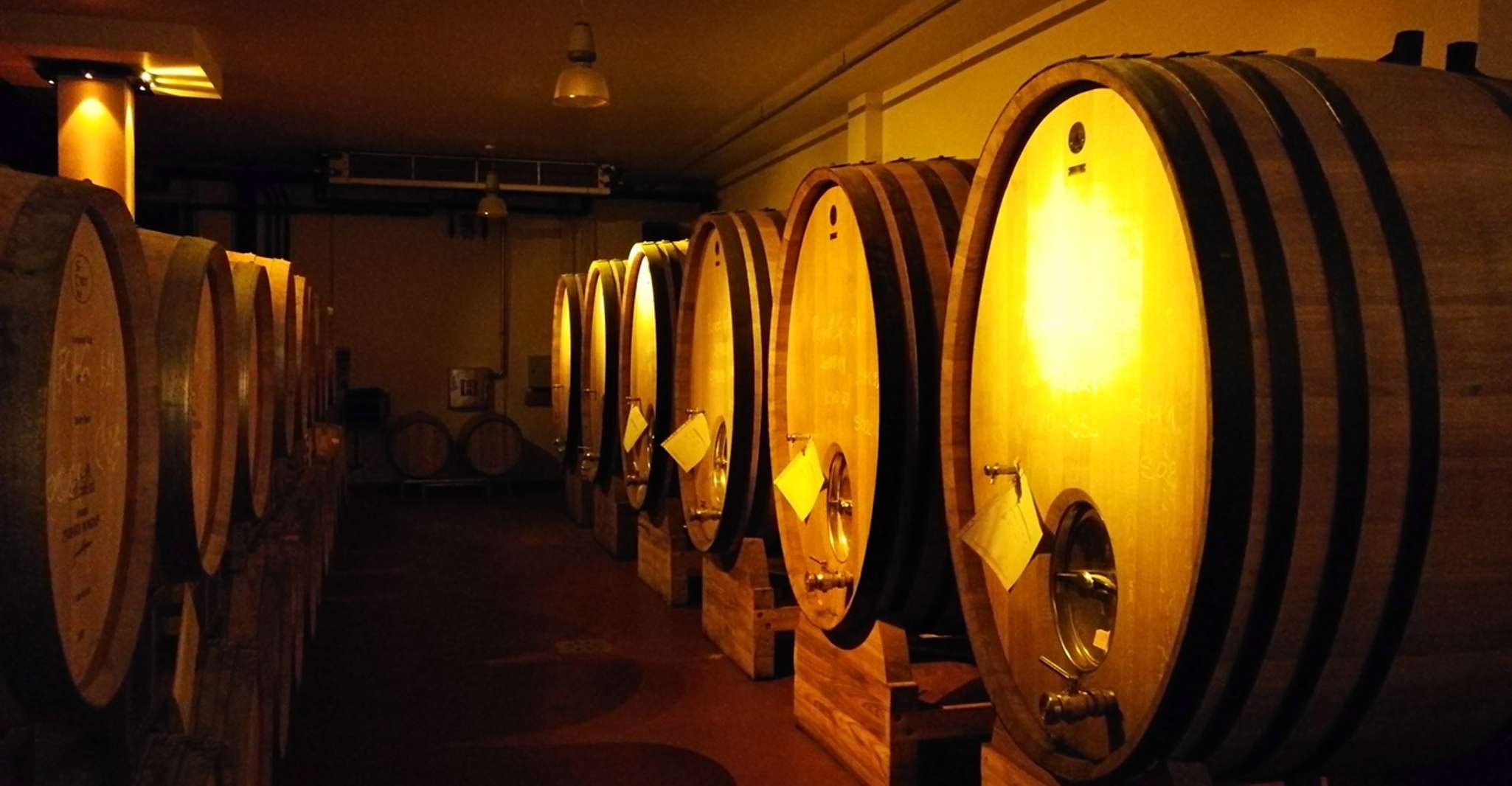 Da Belgrado, Subotica e Palic Full-Day Trip con cantina - Hizvo