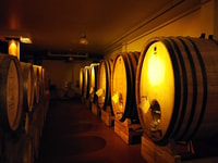 Von Belgrad, Subotica und Palic Tagesausflug mit Weingut - Hizvo