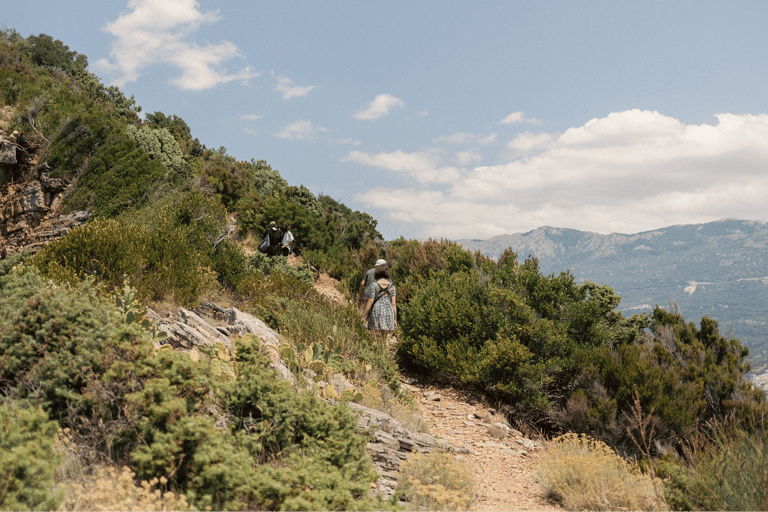 Budva: Kayak & Hike Experience on Sveti Nikola Island