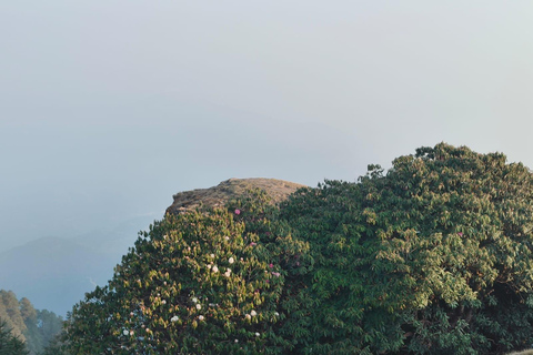 From Kathmandu: 2-Day Sailung Hiking Tour with Meals