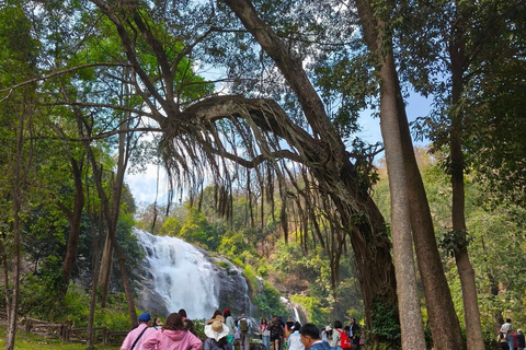 Chiang Mai: Doi Inthanon Pha Dok Siew Trek & Karen Culture