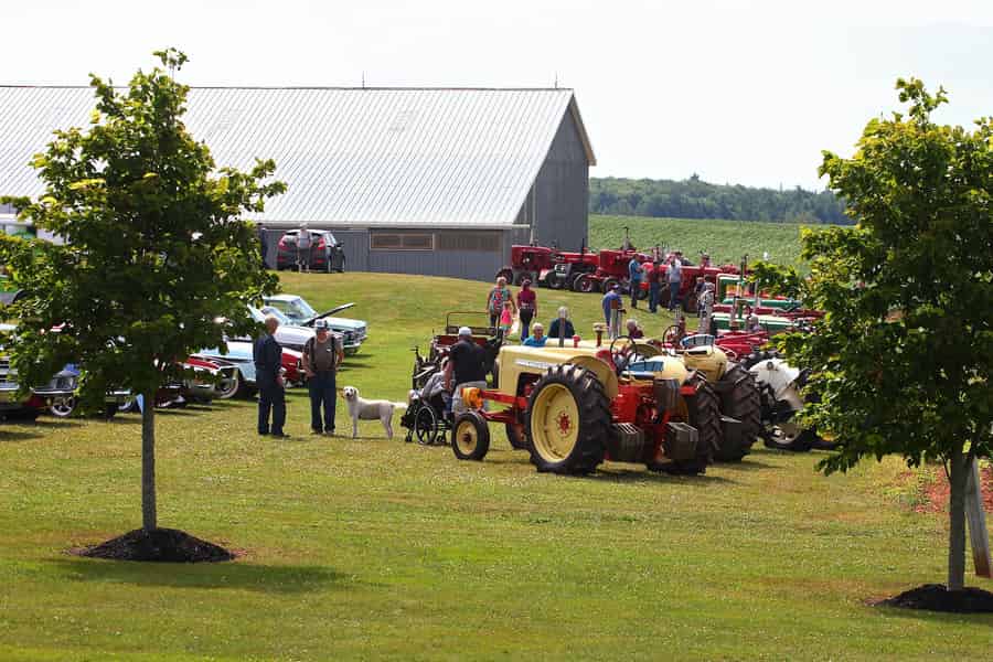 Kinkora: Tour durch eine historische Kartoffelfarm. Foto: GetYourGuide Kinkora: Tour durch eine historische Kartoffelfarm. Foto: GetYourGuide