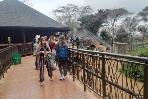 Nairobi: Nationalpark, Elefantenwaisenhaus und Giraffenzentrum