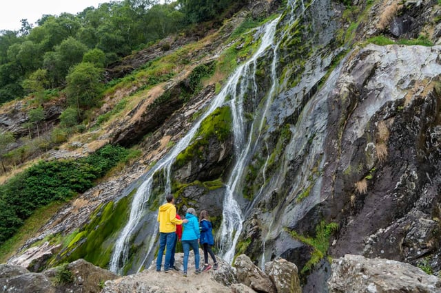 Desde Dublín: Wicklow, Glendalough, cascada y demostración de perros pastores