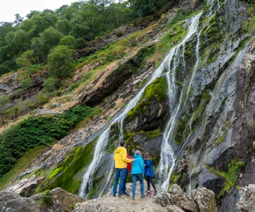 Desde Dublín: Wicklow, Glendalough, cascada y demostración de perros pastores